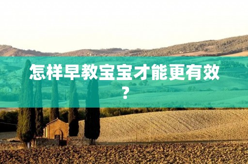 怎样早教宝宝才能更有效？