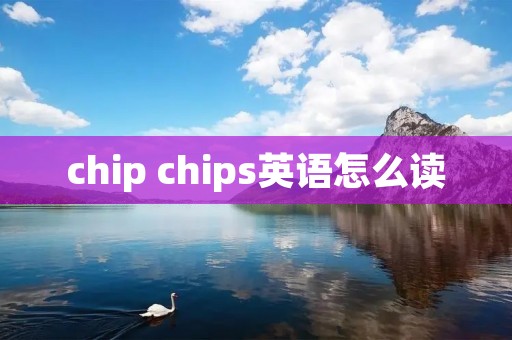 chip chips英语怎么读
