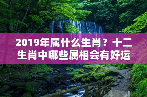 2019年属什么生肖？十二生肖中哪些属相会有好运？