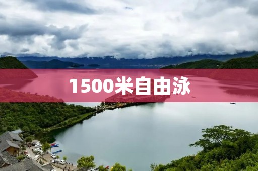 1500米自由泳:游出自由的力量 1500米自由泳:游出自由的力量