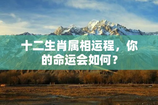 十二生肖属相运程，你的命运会如何？