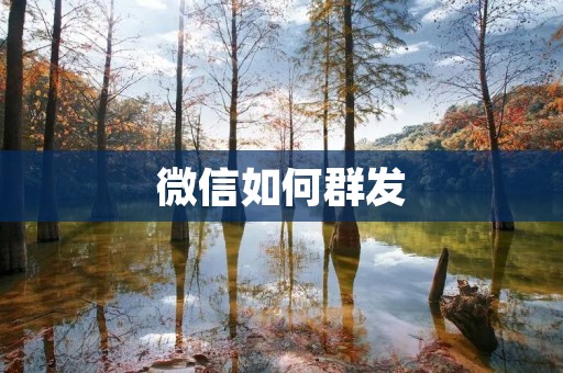 微信如何群发:详细教程和注意事项 微信如何群发:详细教程和注意事项