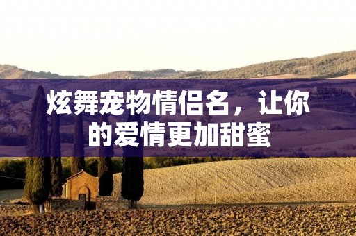 炫舞宠物情侣名，让你的爱情更加甜蜜
