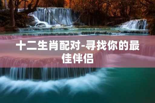 十二生肖配对-寻找你的最佳伴侣