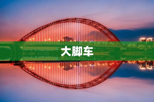 大脚车:让你的骑行更加** 大脚车:让你的骑行更加**