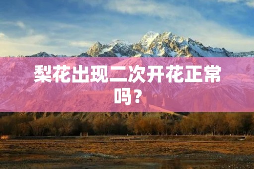 梨花出现二次开花正常吗?