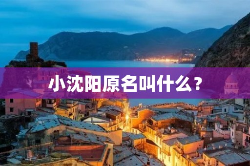 小沈阳原名叫什么?