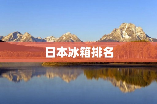 日本冰箱排名：2021年最新排名及品牌分析