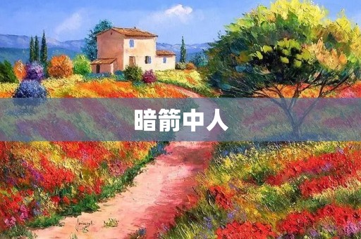 暗箭中人:背后的阴谋与陷阱 暗箭中人:背后的阴谋与陷阱