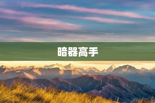 暗器高手:神秘的杀手武器专家 暗器高手:神秘的杀手武器专家