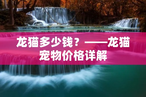 龙猫多少钱?——龙猫宠物价格详解