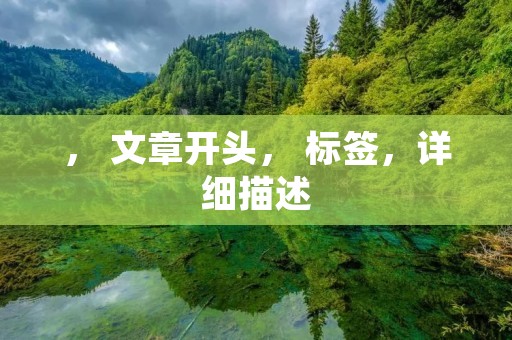 ， 文章开头， 标签，详细描述