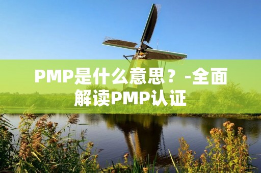 PMP是什么意思?-全面解读PMP认证