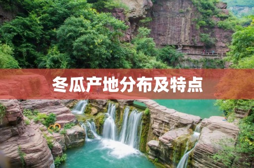 冬瓜产地分布及特点