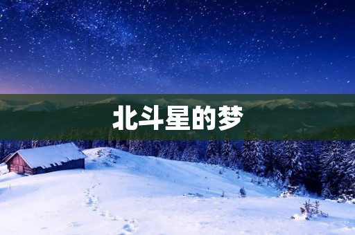 北斗星的梦:一个年轻人的追求与探索