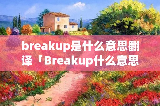 breakup是什么意思翻译「Breakup什么意思」