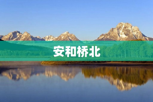 安和桥北:一个繁华商业区的崛起 安和桥北:一个繁华商业区的崛起