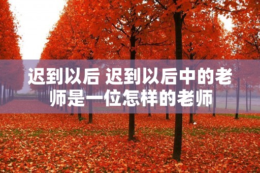 迟到以后 迟到以后中的老师是一位怎样的老师