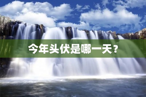 今年头伏是哪一天?