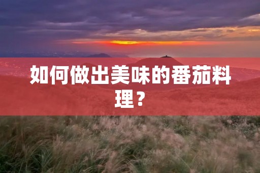 如何做出美味的番茄料理? 如何做出美味的番茄料理?