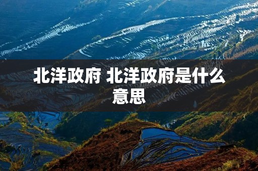 北洋政府 北洋政府是什么意思