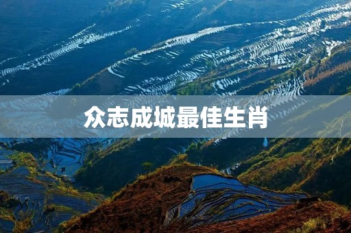 众志成城最佳生肖:龙