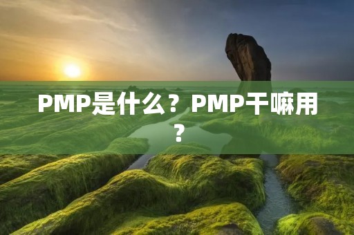 PMP是什么?PMP干嘛用?