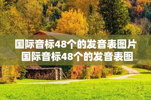 国际音标48个的发音表图片 国际音标48个的发音表图片可打印 国际音标48个的发音表图片 国际音标48个的发音表图片可打印