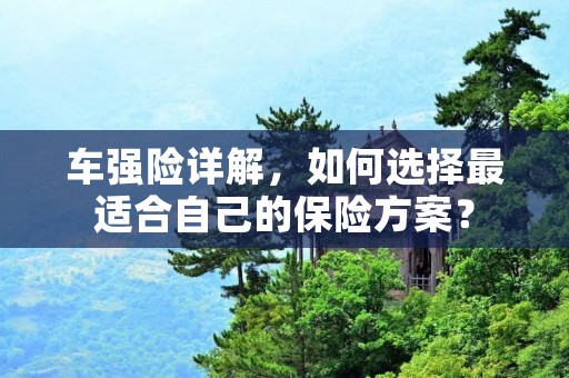 车强险详解,如何选择最适合自己的保险方案? 车强险详解,如何选择最适合自己的保险方案?