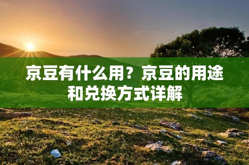 京豆有什么用?京豆的用途和兑换方式详解 京豆有什么用?京豆的用途和兑换方式详解
