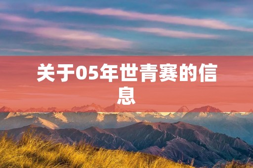 关于05年世青赛的信息