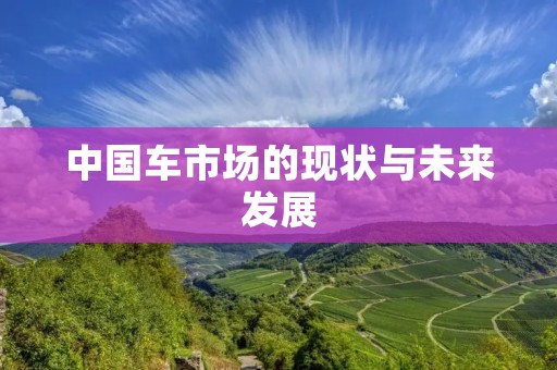 中国车市场的现状与未来发展 中国车市场的现状与未来发展