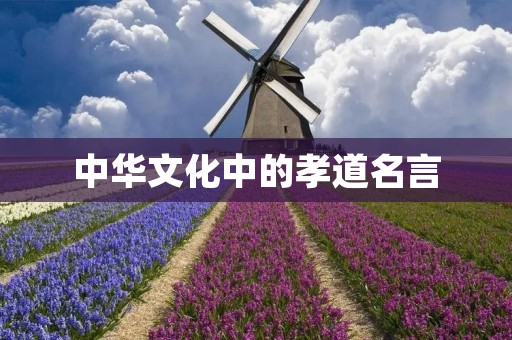 中华文化中的孝道名言