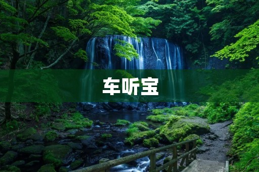 车听宝：让你的驾驶更加安全便捷