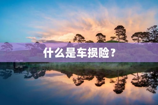 什么是车损险? 什么是车损险?
