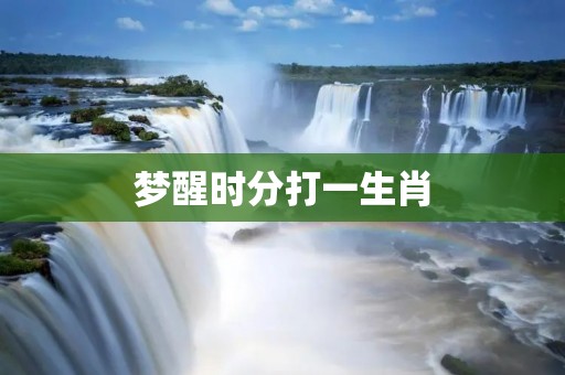 梦醒时分打一生肖