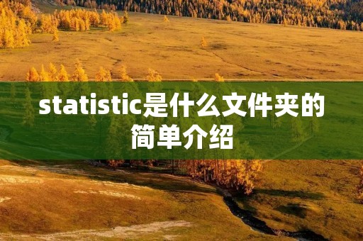 statistic是什么文件夹的简单介绍 statistic是什么文件夹的简单介绍