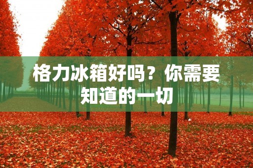 格力冰箱好吗？你需要知道的一切