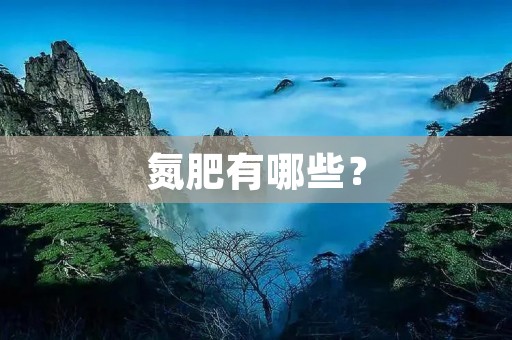 氮肥有哪些?