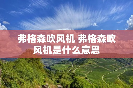 弗格森吹风机 弗格森吹风机是什么意思