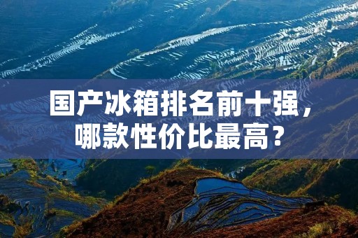 国产冰箱排名前十强，哪款性价比最高？