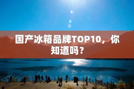 国产冰箱品牌TOP10，你知道吗？