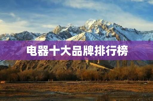 电器十大品牌排行榜:国内外知名品牌大盘点
