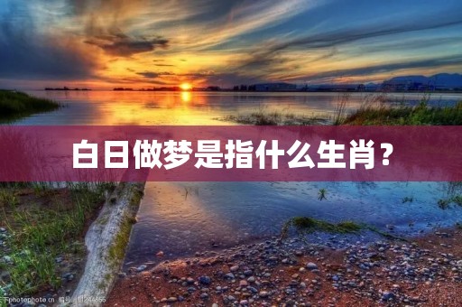 白日做梦是指什么生肖？