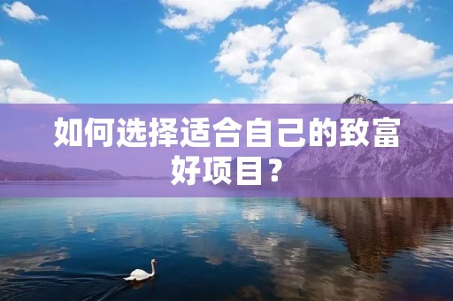 如何选择适合自己的致富好项目?