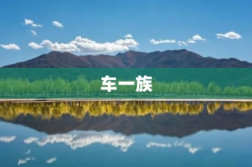 车一族:城市中不可忽视的移动力量 车一族:城市中不可忽视的移动力量