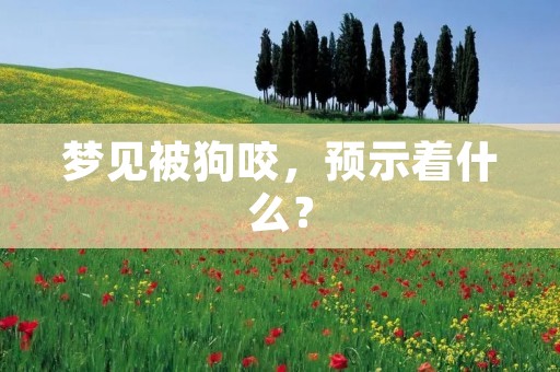 梦见被狗咬,预示着什么?