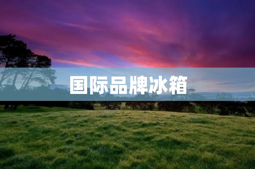 国际品牌冰箱：品质与设计的完美结合
