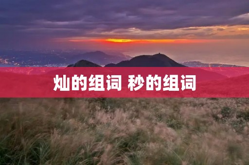 灿的组词 秒的组词