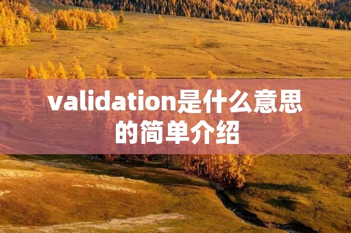 validation是什么意思的简单介绍 validation是什么意思的简单介绍